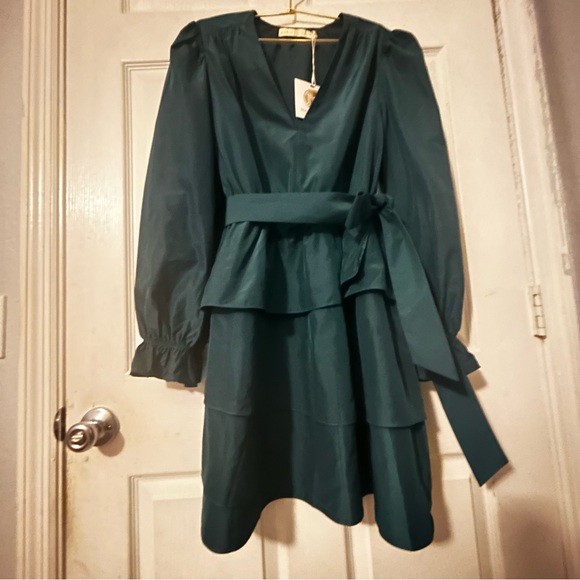 NWT Marie Oliver mini Umbra taffeta dress in pond size L - Picture 3 of 9
